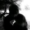 hmfol_d