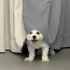 pwrpff.me