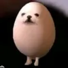 ren_0pi