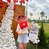 Hồng Hoa Hoa 01