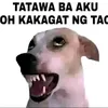 pakemo115