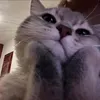 tienlikebundau