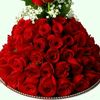 www.tiktok.comdoris8