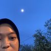 himaa_31
