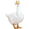 just.a.normal.goose