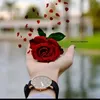 noorhamza932