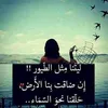 userck6khn80t3