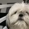 swxyzn