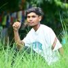 dhirajtharu55