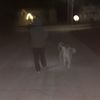 jeremiah_739