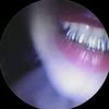 i10vemus1c11