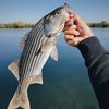 valleybassfishing