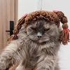 meow.ngu.si