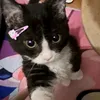 anne_raquei0