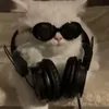 _zyozyo23