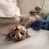 4444aa444444