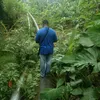kamogol