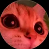 paty.catarina