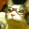 its.me.elliot