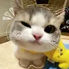 bunnvchuuu