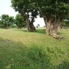 marssathimun