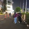 lebah_717
