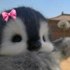 aivatko_syy