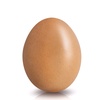 egg6942046