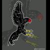 jamshedali0968