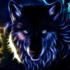 electricwolf572