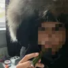 njpriv0