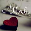 zamman.fatima