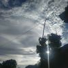 wong_sepele_197