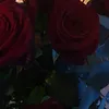 mine_jk12