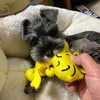 schnauzer_lea