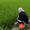 daya_semesta_369