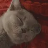 tuana.deveci