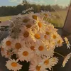 lele_01231