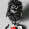 nata_nnvz