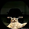 davy.xxs