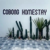 cobonghomestay