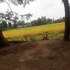 vulinhnguyen829