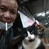 selamatilham2