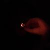jillscottsblunt