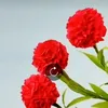 fff_bssss20222