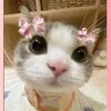 diabolical_diva