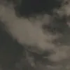 ziee12_0