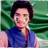 sm__tuni0550