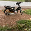 brola6860
