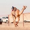 msalm_mohamed711